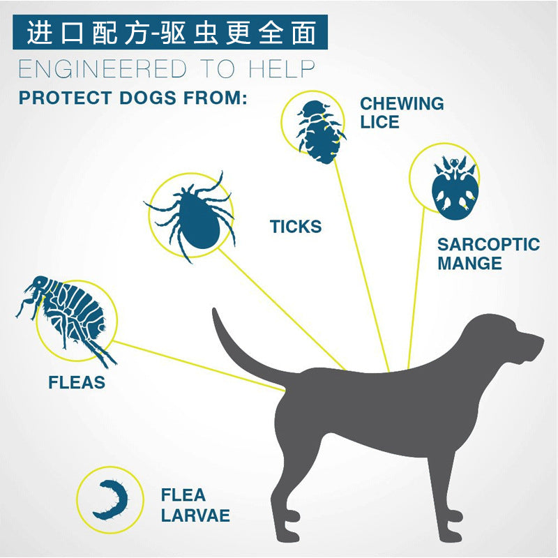 Insect repellent collar summer summer cross-border anti-flea pet supplies cat dog mosquito repellent insecticide adjustment collar