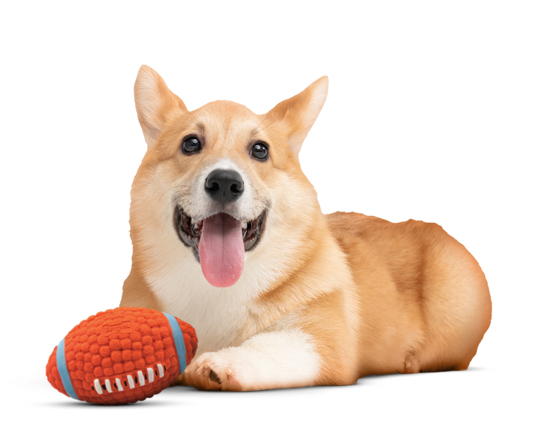 2019 winter women's wool coat lapel black dark blue long section listing