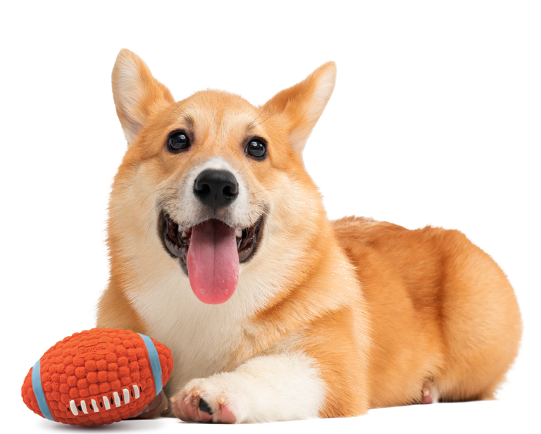 2019 winter women's wool coat lapel black dark blue long section listing