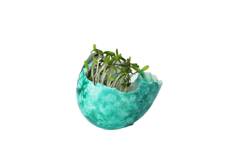 2019 winter women's wool coat lapel black dark blue long section listing